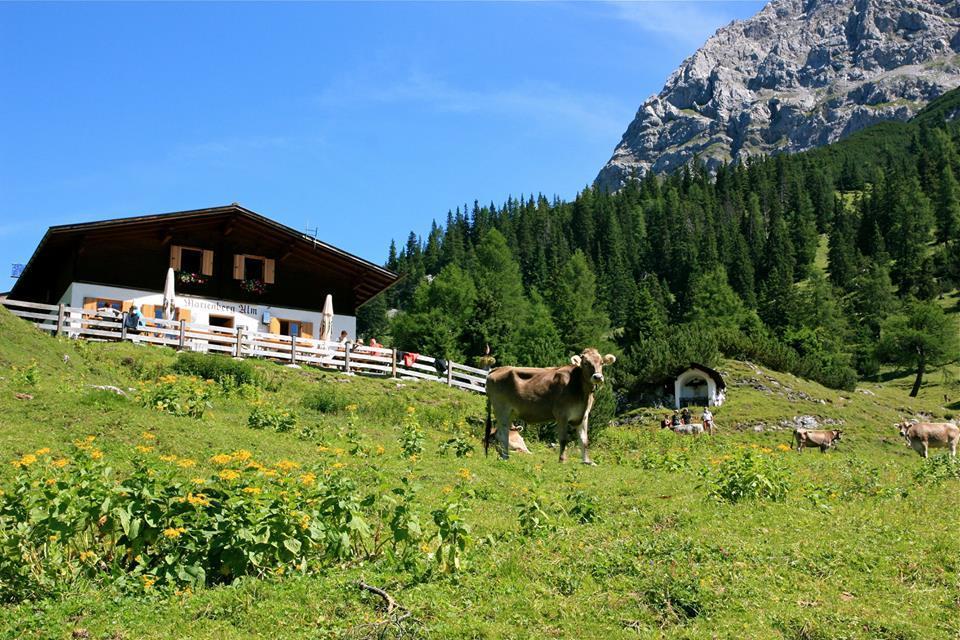 Haus Thurner Обштайг Экстерьер фото